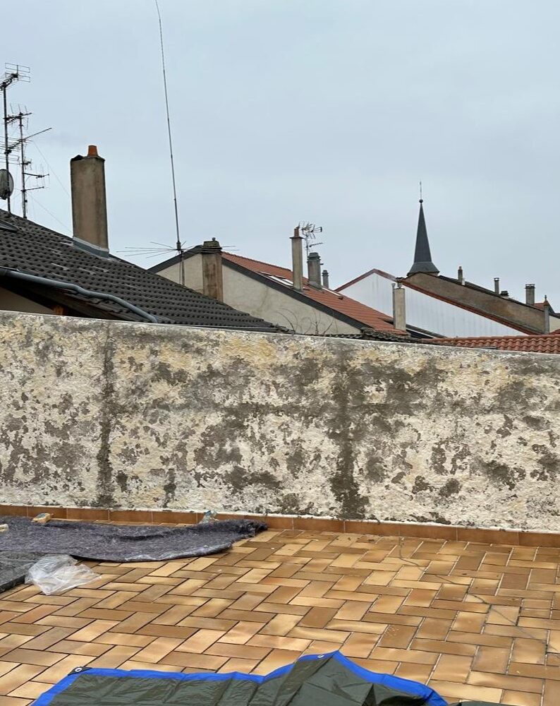 WhatsApp Image 2025-06-11 at 00.06.28