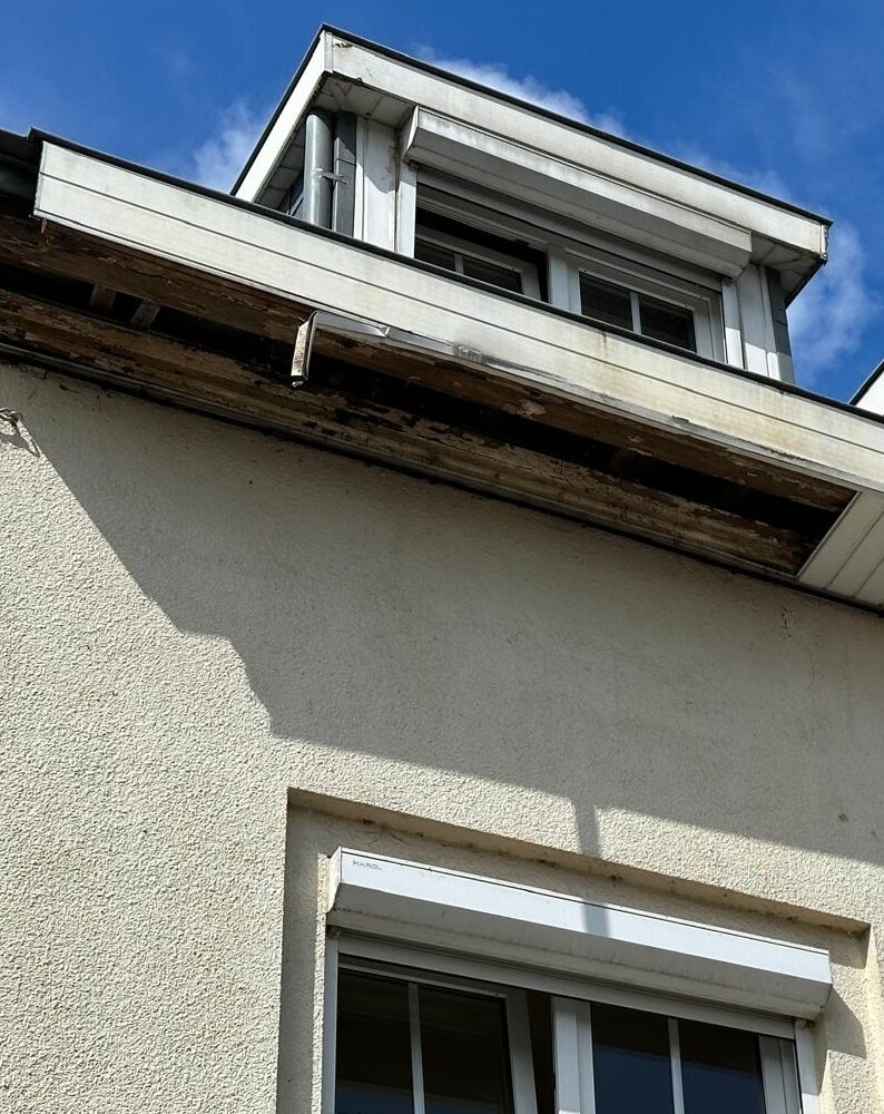 WhatsApp Image 2025-06-11 at 00.12.25