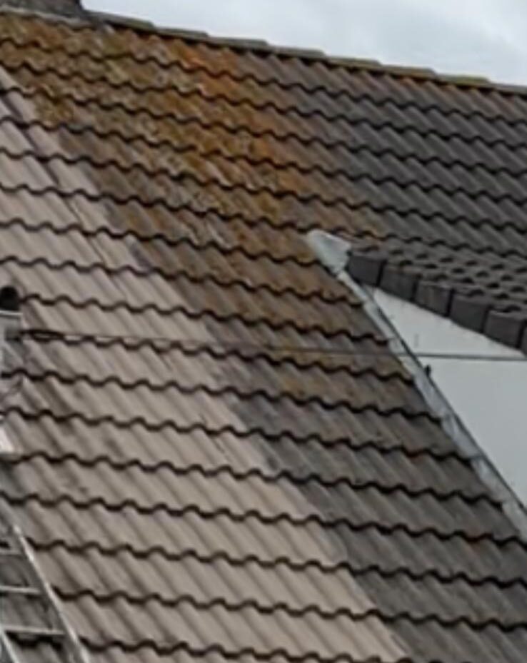 WhatsApp Image 2025-06-11 at 00.38.19