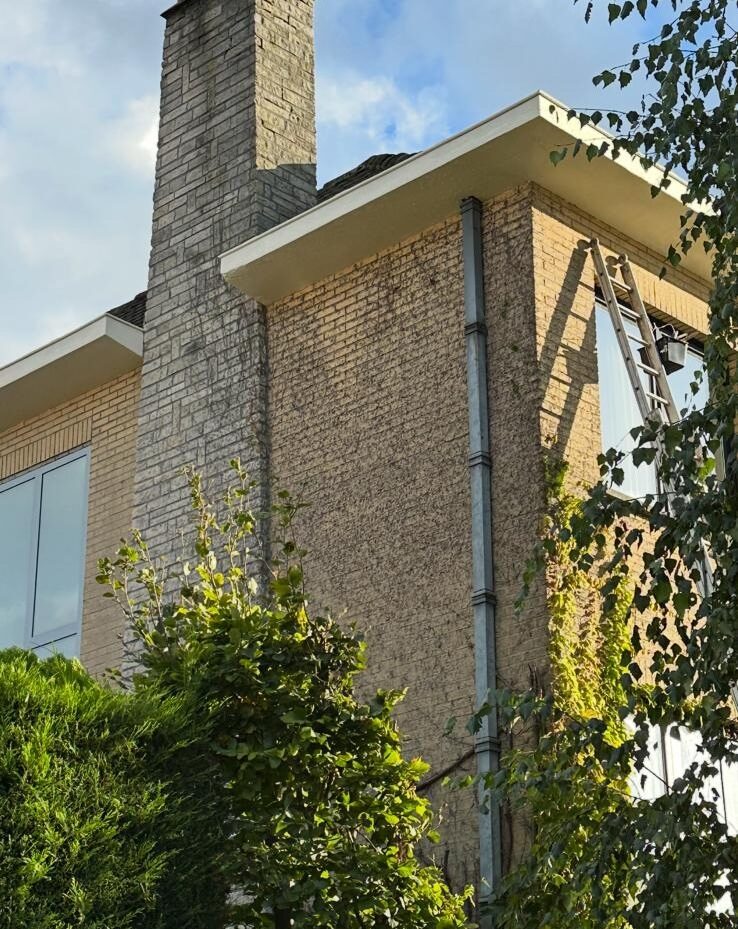 WhatsApp Image 2025-06-11 at 00.39.01 (1)